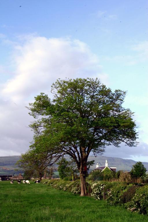 Hillview Guest house